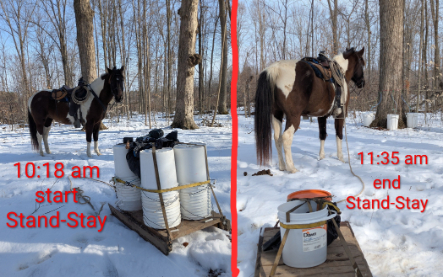 Avi on Stand-Stay for an hour